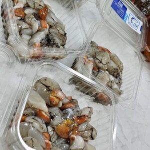 Oeufs de seiche
